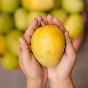 Himsagar Bagged Mango 5 KG