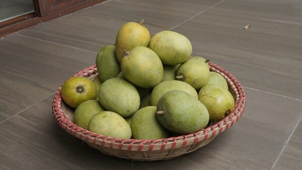 Himsagar Mango 5 KG (Non Bagged)