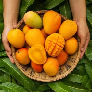 Gopal Bhog Mango 40 KG