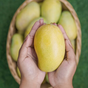 Amrapali Mango 5 KG