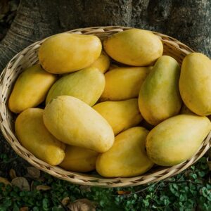 Katimon Mango 5 KG